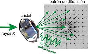 Estructura regular del ADN