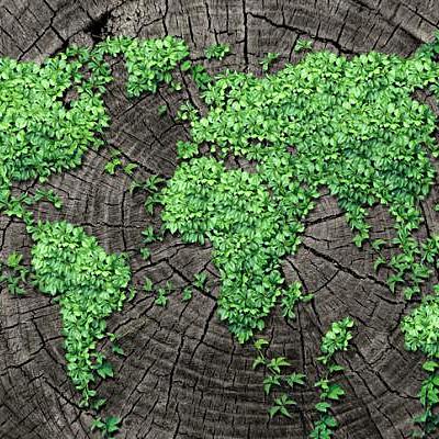 Timeline: Historia de la Ecología