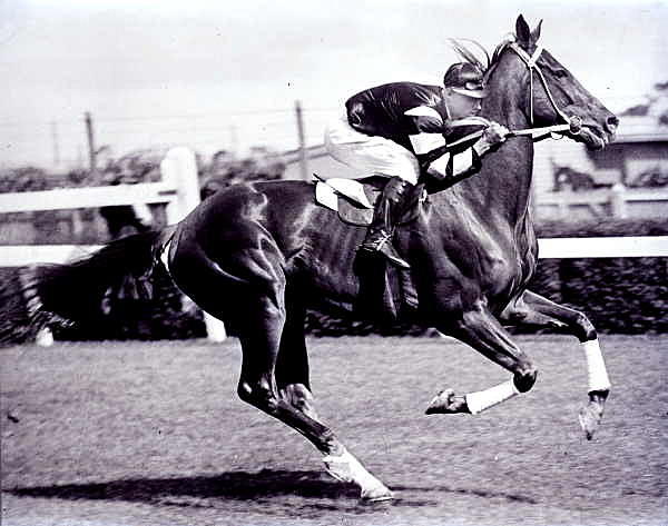 1930 Phar Lap Wins The Melbourne Cup