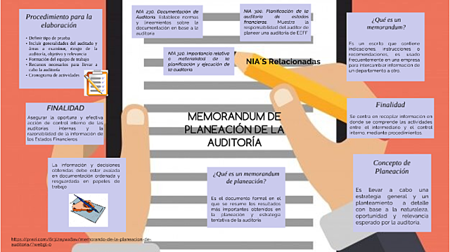 Relevancia de la auditoría.