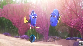 Timeline: Alla ricerca di Dory