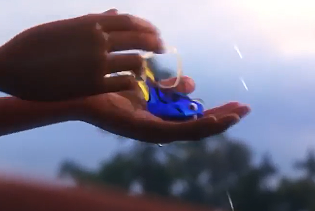 dory viene catturata