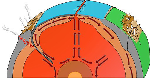 Se propone el modelo de celdillas