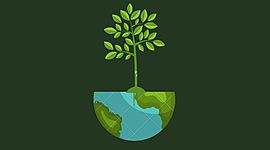 Timeline: Problemas Ambientales