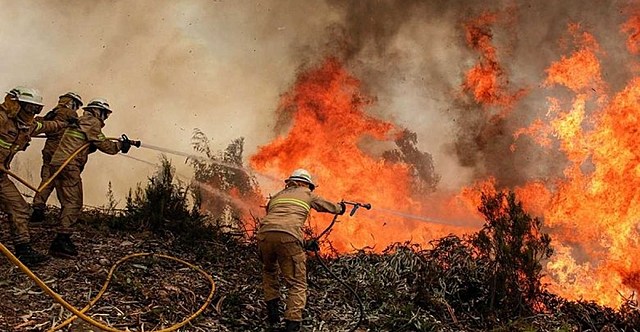 LA AMAZONÍA EN LLAMAS