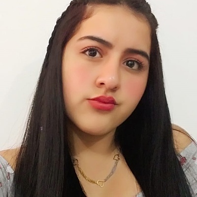 Timeline: Karen Marleidy Carrillo Ortiz