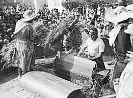 Battle of Grain (1925)