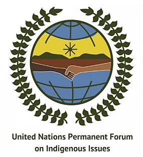 FORO PERMANENTE PARA LAS CUESTIONES INDÍGENAS