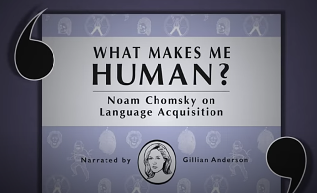 Noam Chomsky on Language Acquisition (video)