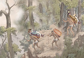 Resguardos indígenas