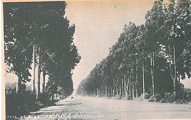 Development of Fenton Street Resort Zone