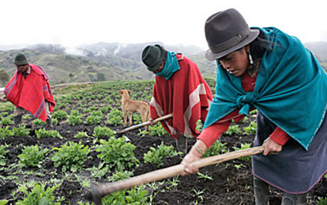 División de los resguardos