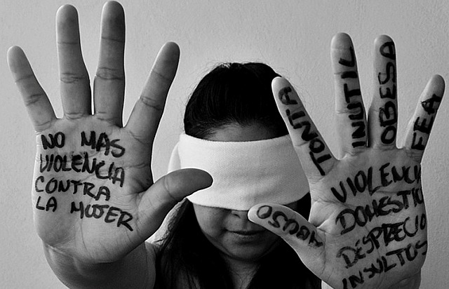 DEFENSA A FAVOR DE LAS MUJERES