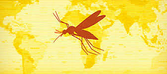 Fiebre amarilla (fines de 1800)