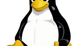 Timeline: 1991 - Naci en la pcia. de Santa Fé.  *El inicio de Linus Torvalds en su trabajo con Linux . Aparece World,  wide y web (www) * En este año la economía argentina se vio marcada por la Ley de Convertibilidad  durante el gobierno de Carlos Menem.