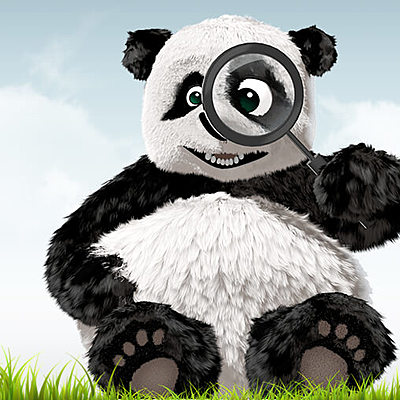 Timeline: A voyage of the animal orchestra