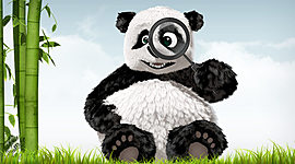 Timeline: A voyage of the animal orchestra