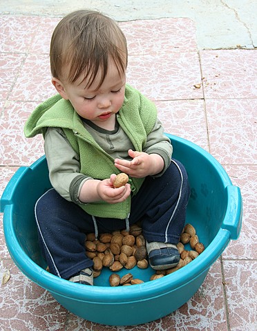 Mi padre compra la casa de campo