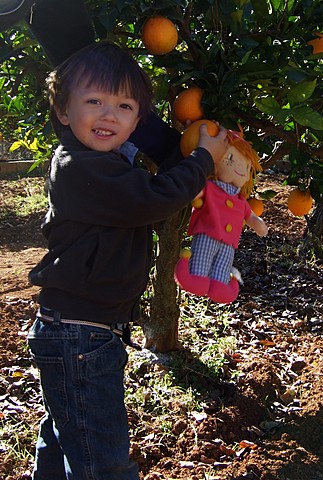 Comienzo a ir a Artesanos