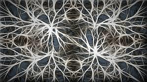 Evolution of artificial neurons