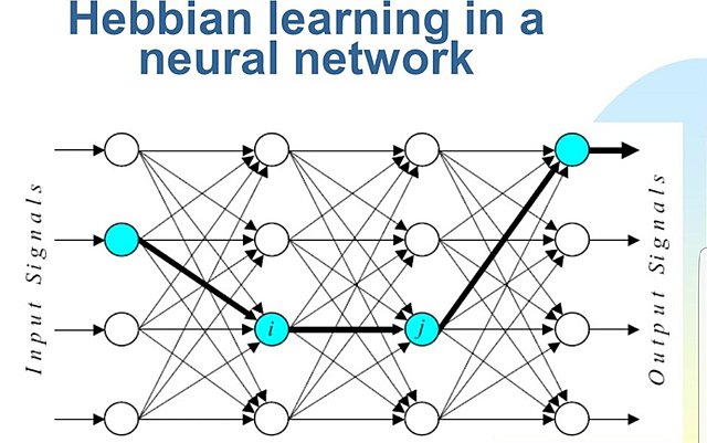 Hebbian learning