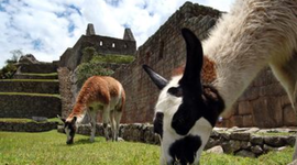 Timeline: Peru's History