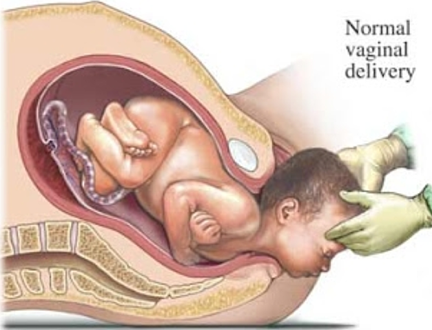 11. Part (SETMANA 38)