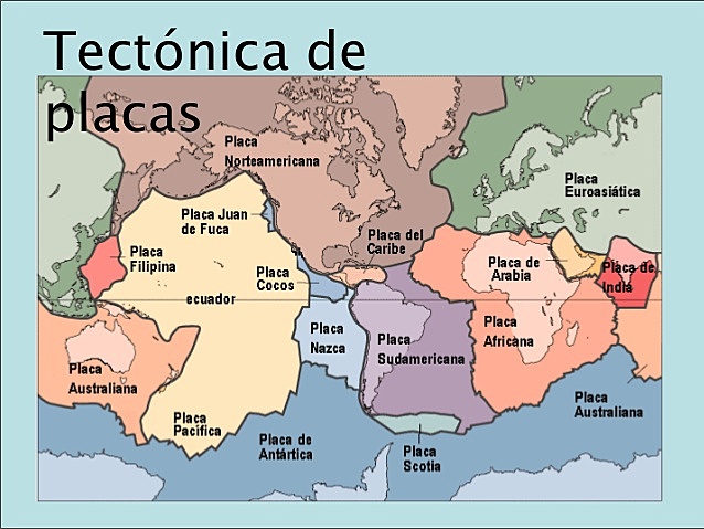 Surgimiento del término placa