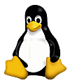 Linux Kernel