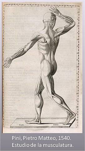 León Bautista Alberti,