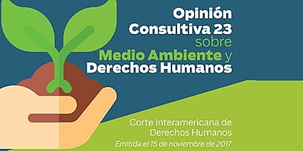 Opinión Consultiva 23