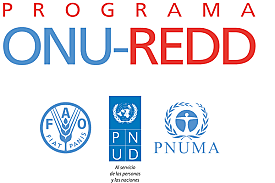 Lanzamiento del Programa ONU REDD