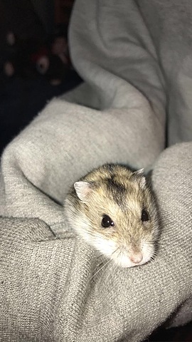 Not so cuddly after all