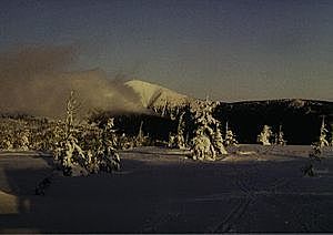 Sudeteak eman zizkioten Alemaniari