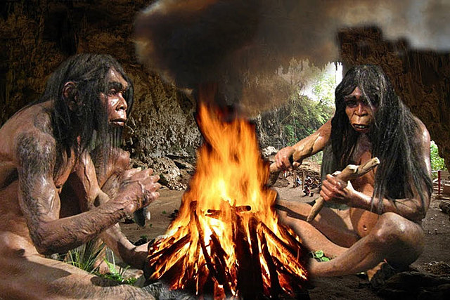 Dominación del fuego