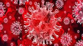 Timeline: corona virus