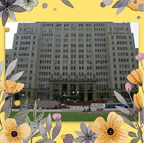 UNIVERSIDAD DE BUENOS AIRES