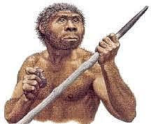 HOMO ERECTUS