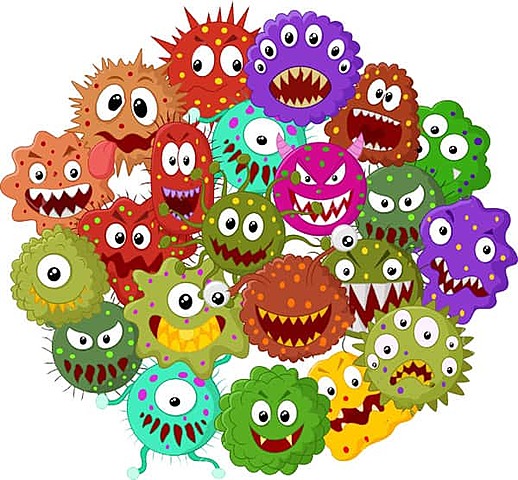 El coronavirus en el cuerpo