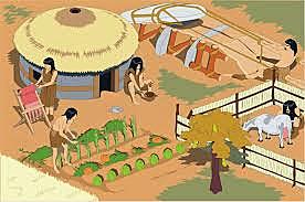 Edad de la piedra nueva