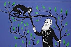 Charles Darwin - The theory of evolution