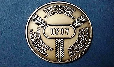 Constitución de la UPOV