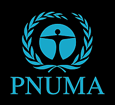 PNUMA