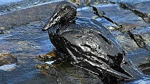 DERRAME DE PETROLEO