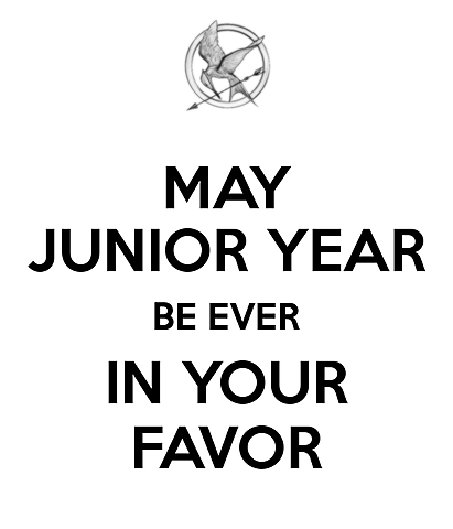 Junior year/ 11th grade