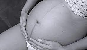 JAN ley  53  de 1938