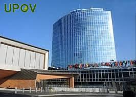 Constitución de La Unión Internacional para la Protección de las Obtenciones Vegetales (UPOV)