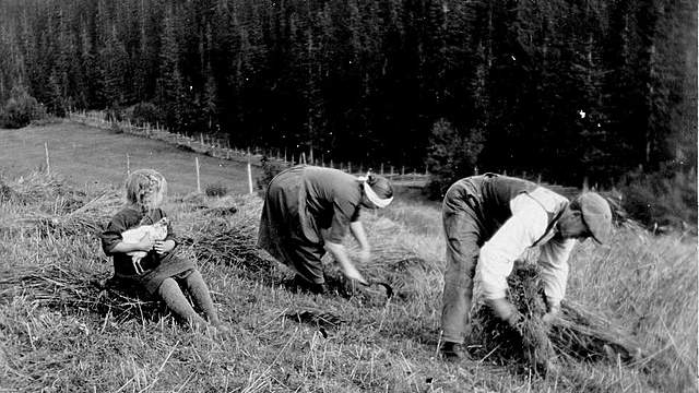 Det førindustrielle Norge