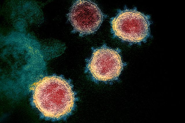 1º muerte por coronavirus
