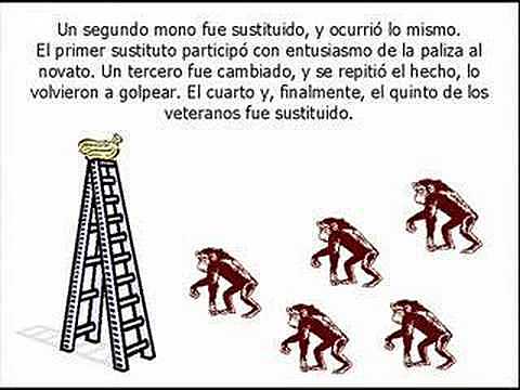 Nacen los paradigmas